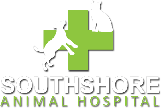 Southshore Animal Hospital | Metairie, Louisiana 70005